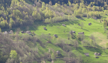 Paradiso Lasciallo